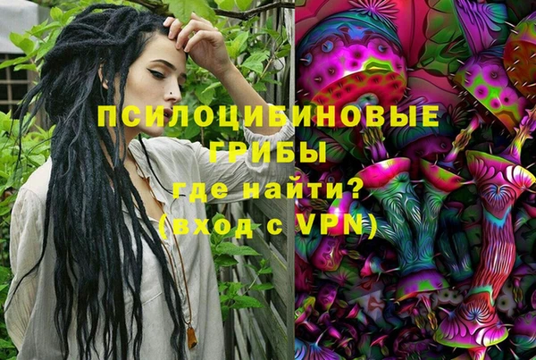Альфа ПВП Армянск