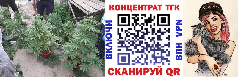 купить  цена  дарк нет формула  Дистиллят ТГК гашишное масло  Слюдянка 